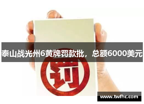 泰山战光州6黄牌罚款批，总额6000美元