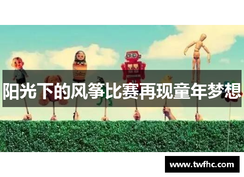 阳光下的风筝比赛再现童年梦想